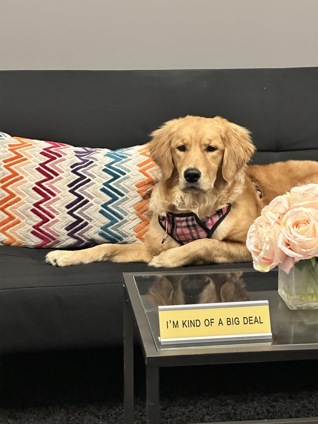 NNNN I'M KIND OF A BIG DEAL