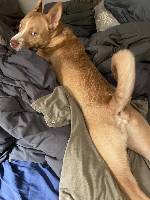 Cheezburger Image 10611070208