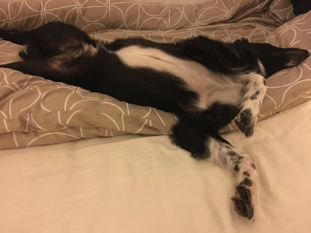 Cheezburger Image 10611071488