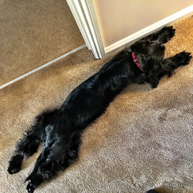 Cheezburger Image 10611072768