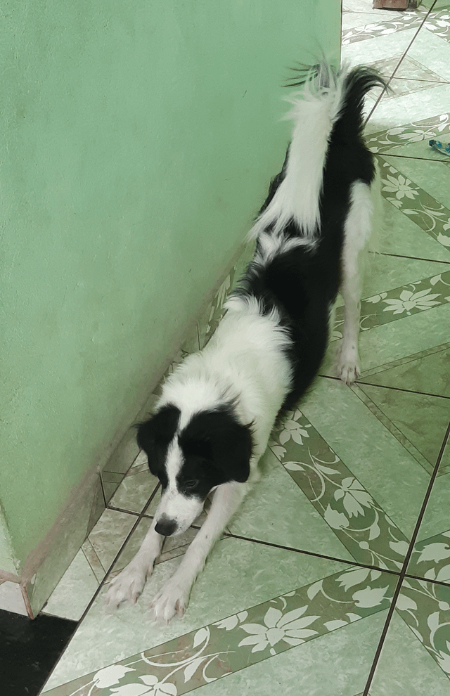 Cheezburger Image 10611073280