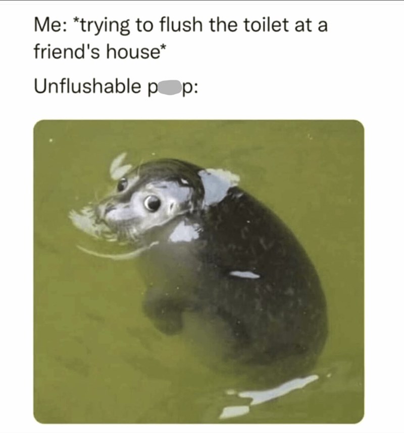 Me: *trying to flush the toilet at a friend's house* Unflushable pop: