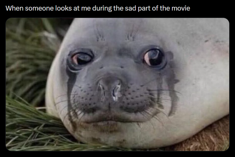When someone looks at me during the sad part of the movie
