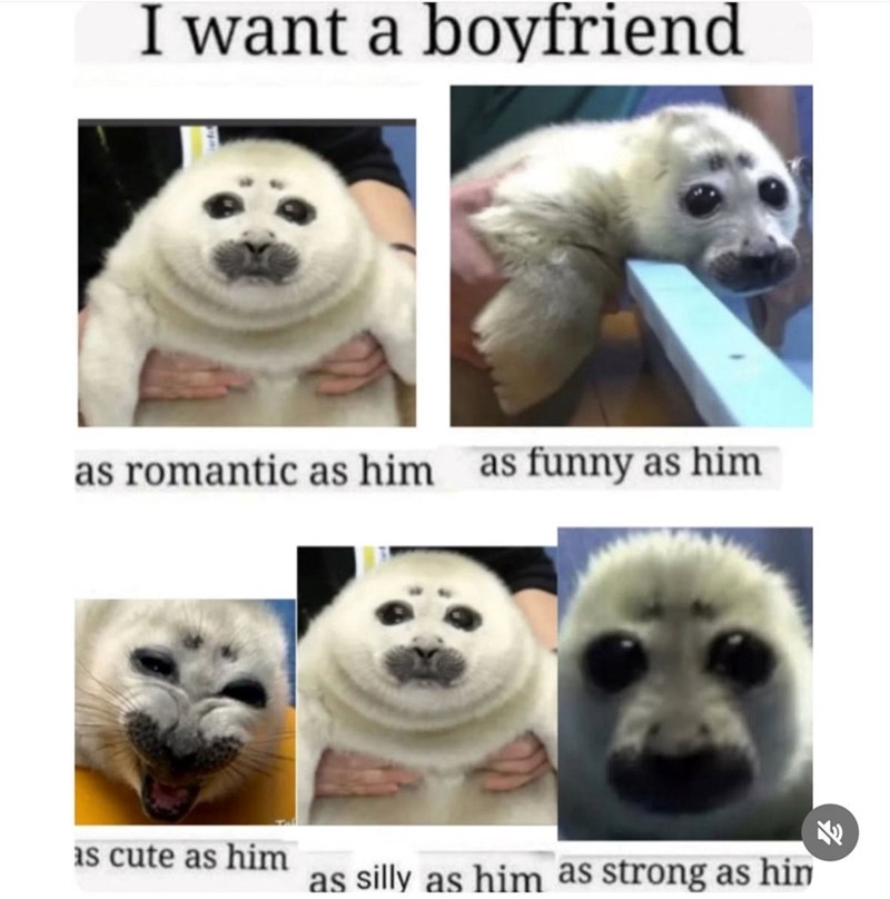 I want a boyfriend as romantic as him as funny as him as cute as him as silly as him as strong as hin