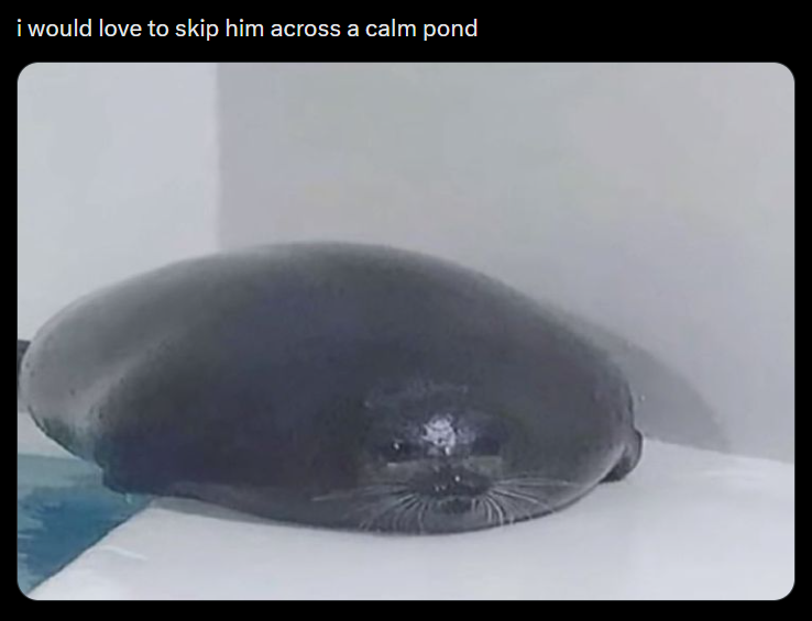 i would love to skip him across a calm pond