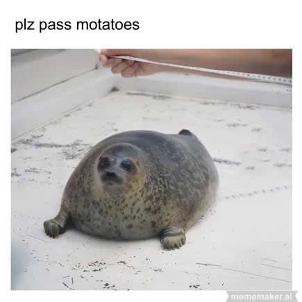 plz pass motatoes mememaker.al