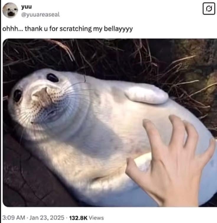 yuu @yuuareaseal ohhh... thank u for scratching my bellayyyy 3:09 AM Jan 23, 2025 132.8K Views 0