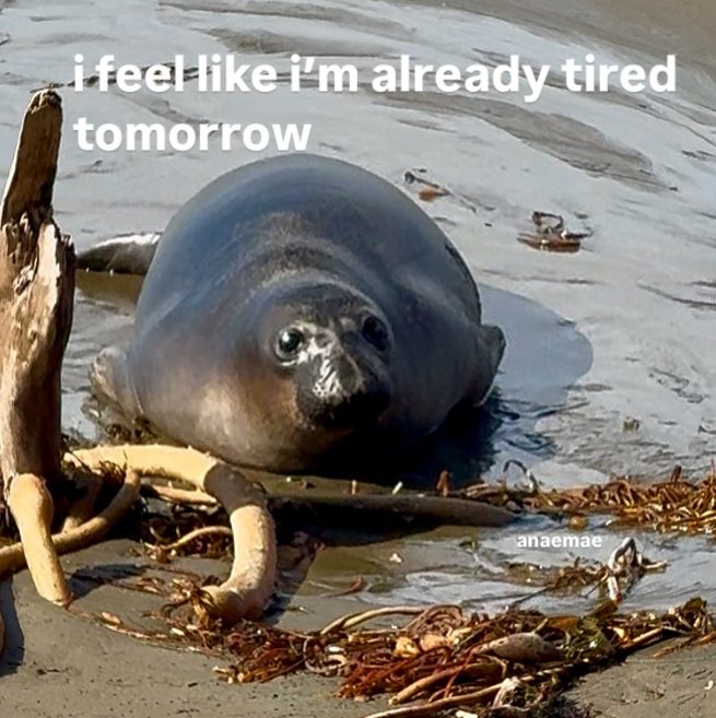 i feel like i'm already tired tomorrow anaemae