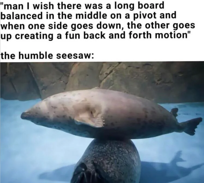 "man I wish there was a long board balanced in the middle on a pivot and when one side goes down, the other goes up creating a fun back and forth motion" the humble seesaw: