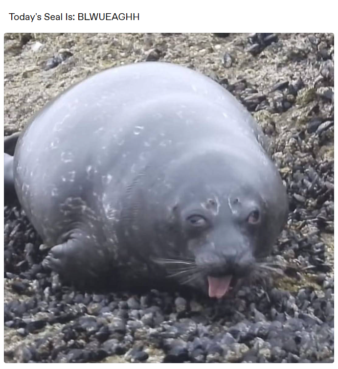 Today's Seal Is: BLWUEAGHH