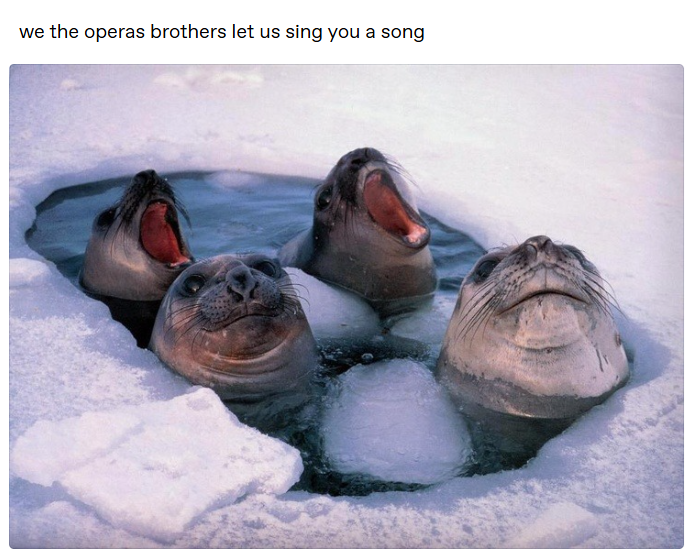 we the operas brothers let us sing you a song