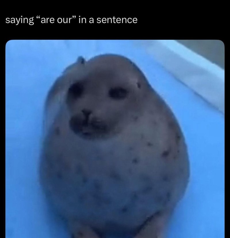 saying "are our" in a sentence