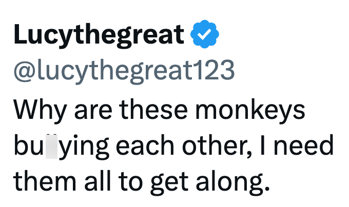 Lucythegreat @lucythegreat123 Why are these monkeys bu ying each other, I need them all to get along.