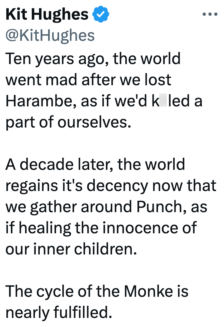 Kit Hughes @KitHughes Ten years ago, the world went mad after we lost Harambe, as if we'd k led a part of ourselves. A decade later, the world regains it's decency now that we gather around Punch, as if healing the innocence of our inner children. The cycle of the Monke is nearly fulfilled.