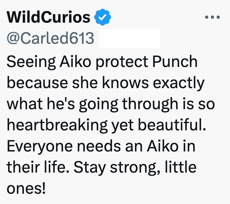 WildCurios @Carled613 Seeing Aiko protect Punch because she knows exactly what he's going through is so heartbreaking yet beautiful. Everyone needs an Aiko in their life. Stay strong, little ones!