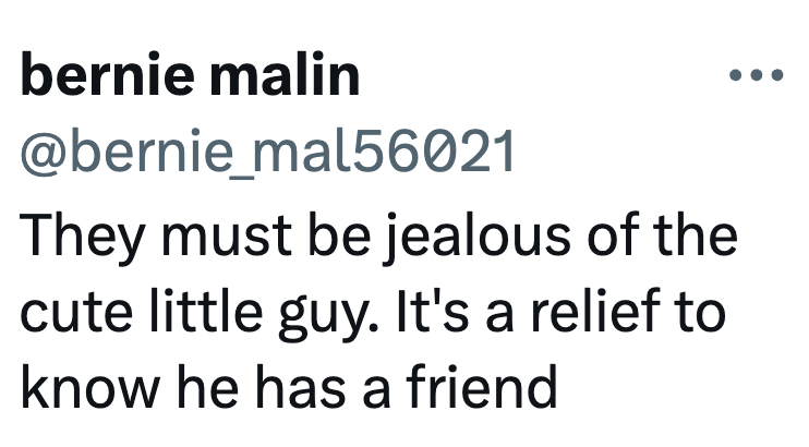 bernie malin @bernie_mal56021 They must be jealous of the cute little guy. It's a relief to know he has a friend