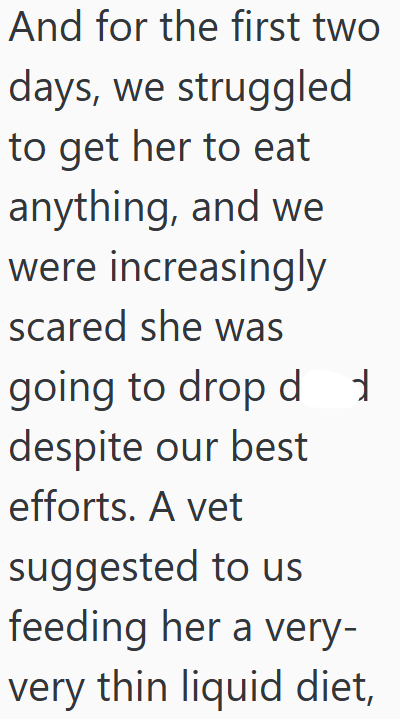 And for the first two days, we struggled to get her to eat anything, and we were increasingly scared she was going to drop d 1 despite our best efforts. A vet suggested to us feeding her a very- very thin liquid diet,