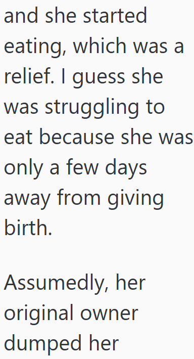 and she started eating, which was a relief. I guess she was struggling to eat because she was only a few days away from giving birth. Assumedly, her original owner dumped her