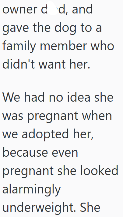 owner d d, and gave the dog to a family member who didn't want her. We had no idea she was pregnant when we adopted her, because even pregnant she looked alarmingly underweight. She