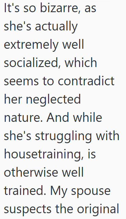 It's so bizarre, as she's actually extremely well socialized, which seems to contradict her neglected nature. And while she's struggling with housetraining, is otherwise well trained. My spouse suspects the original