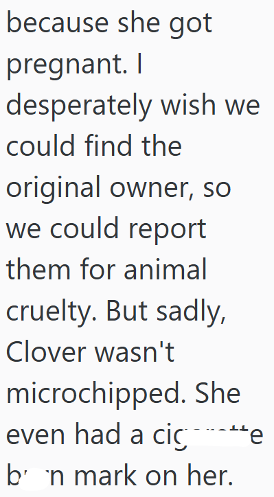 because she got pregnant. I desperately wish we could find the original owner, so we could report them for animal cruelty. But sadly, Clover wasn't microchipped. She even had a cice bn mark on her.
