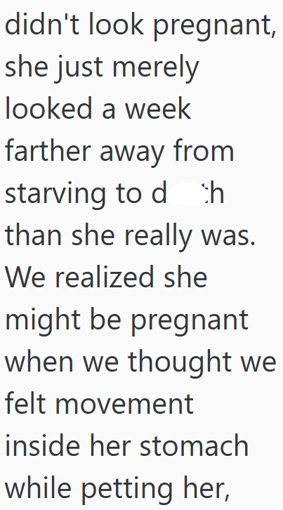 didn't look pregnant, she just merely looked a week farther away from starving to dh than she really was. We realized she might be pregnant when we thought we felt movement inside her stomach while petting her,