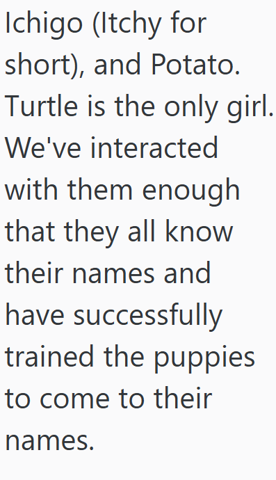 Ichigo (Itchy for short), and Potato. Turtle is the only girl. We've interacted with them enough that they all know their names and have successfully trained the puppies to come to their names.