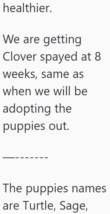 healthier. We are getting Clover spayed at 8 weeks, same as when we will be adopting the puppies out. The puppies names are Turtle, Sage,