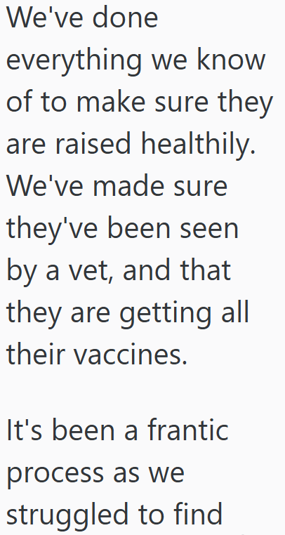 We've done everything we know of to make sure they are raised healthily. We've made sure they've been seen by a vet, and that they are getting all their vaccines. It's been a frantic process as we struggled to find