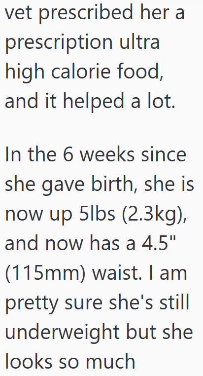 vet prescribed her a prescription ultra high calorie food, and it helped a lot. In the 6 weeks since she gave birth, she is now up 5lbs (2.3kg), and now has a 4.5" (115mm) waist. I am pretty sure she's still underweight but she looks so much