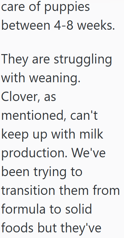care of puppies between 4-8 weeks. They are struggling with weaning. Clover, as mentioned, can't keep up with milk production. We've been trying to transition them from formula to solid foods but they've