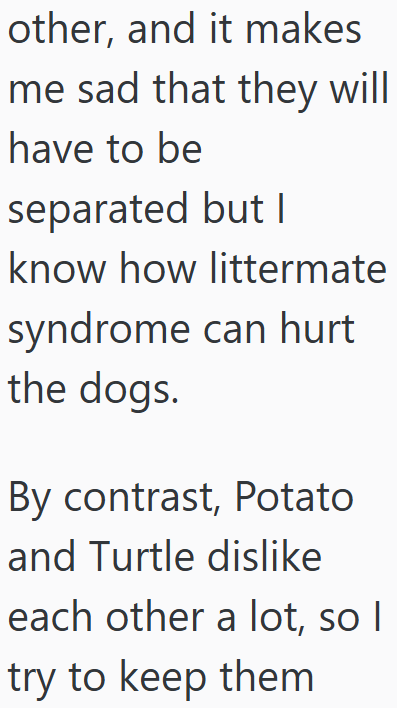 other, and it makes me sad that they will have to be separated but I know how littermate syndrome can hurt the dogs. By contrast, Potato and Turtle dislike each other a lot, so I try to keep them