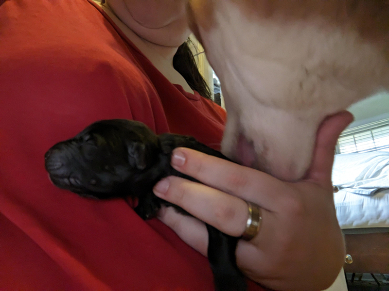 Cheezburger Image 10611092224