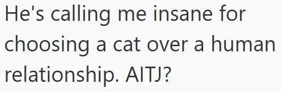 He's calling me insane for choosing a cat over a human relationship. AITJ?