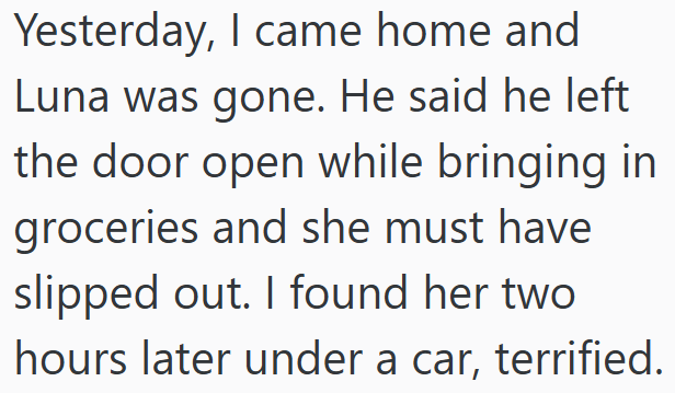Yesterday, I came home and Luna was gone. He said he left. the door open while bringing in groceries and she must have. slipped out. I found her two hours later under a car, terrified.
