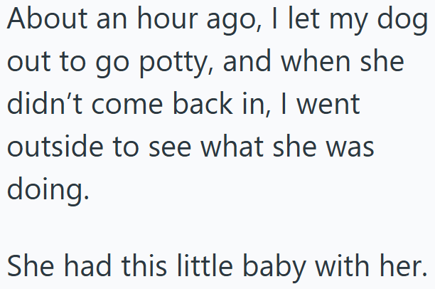 About an hour ago, I let my dog out to go potty, and when she didn't come back in, I went outside to see what she was doing. She had this little baby with her.