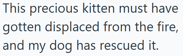 This precious kitten must have gotten displaced from the fire, and my dog has rescued it.