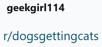 geekgirl114 r/dogsgettingcats