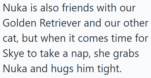 Nuka is also friends with our Golden Retriever and our other cat, but when it comes time for Skye to take a nap, she grabs Nuka and hugs him tight.