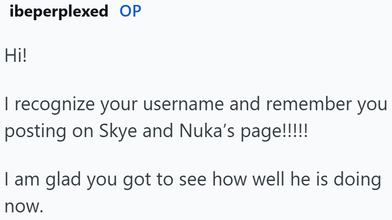 ibeperplexed OP Hi! I recognize your username and remember you posting on Skye and Nuka's page!!!!! I am glad you got to see how well he is doing now.