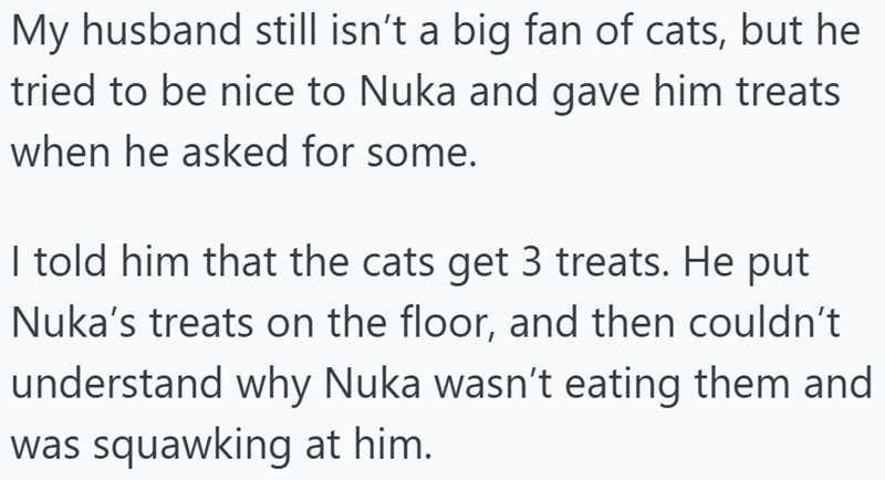 My husband still isn't a big fan of cats, but he tried to be nice to Nuka and gave him treats when he asked for some. I told him that the cats get 3 treats. He put Nuka's treats on the floor, and then couldn't understand why Nuka wasn't eating them and was squawking at him.