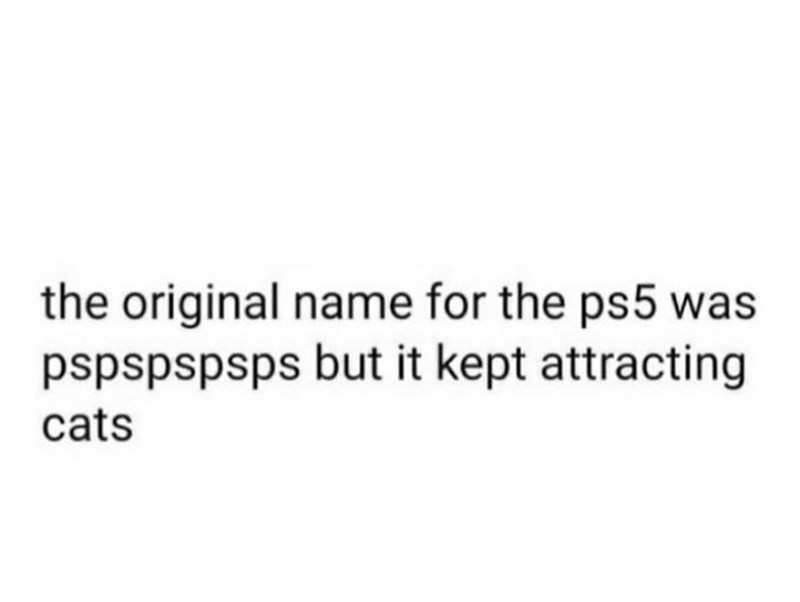 the original name for the ps5 was pspspspsps but it kept attracting cats