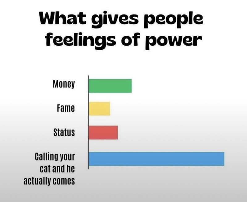 What gives people feelings of power Money Fame Status Calling your cat and he actually comes