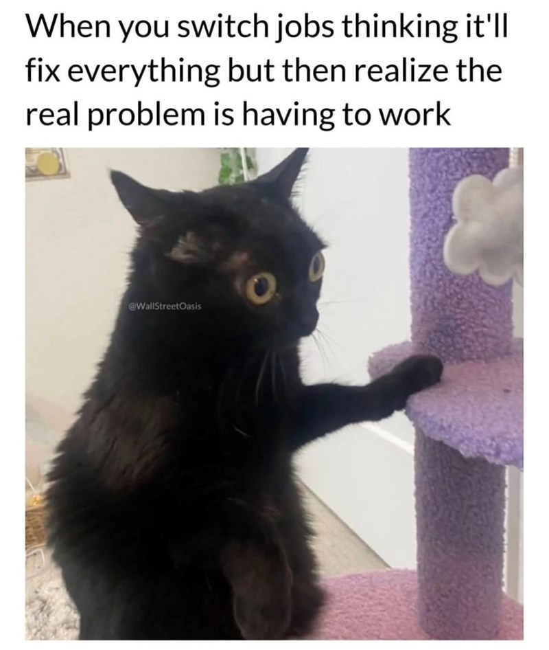 When you switch jobs thinking it'll fix everything but then realize the real problem is having to work @WallStreetOasis Ο