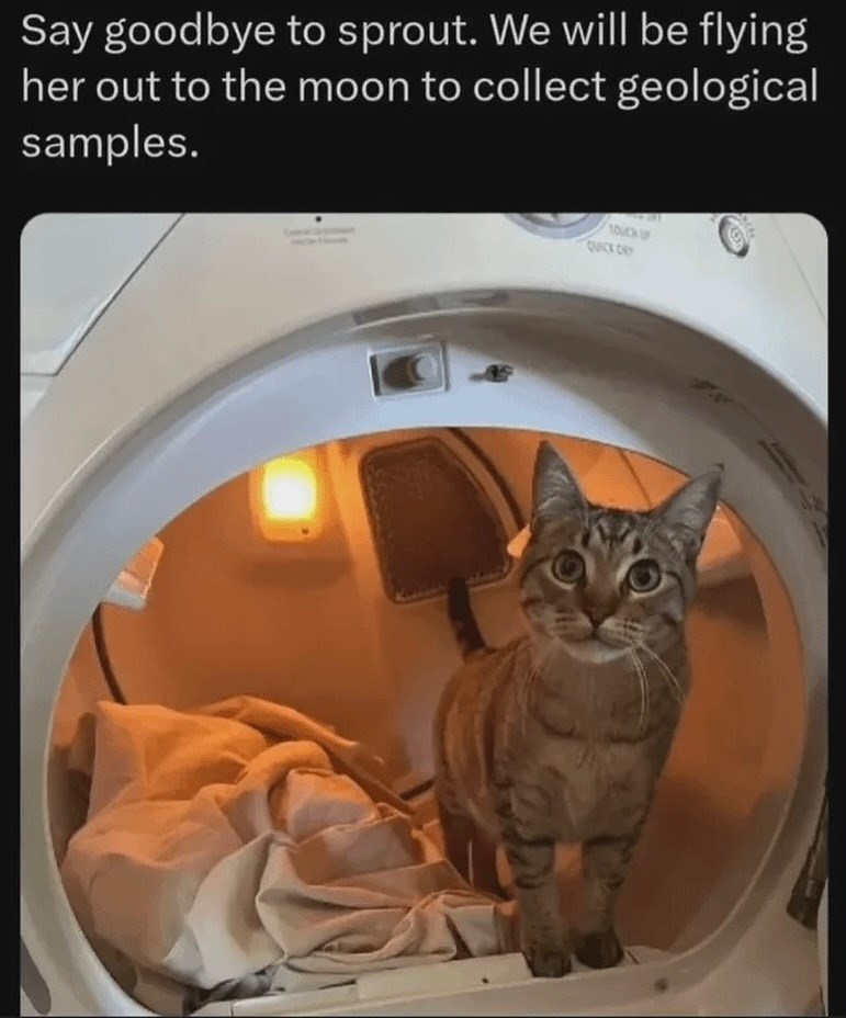 Say goodbye to sprout. We will be flying her out to the moon to collect geological samples. TOUCKUP QUICK CRY