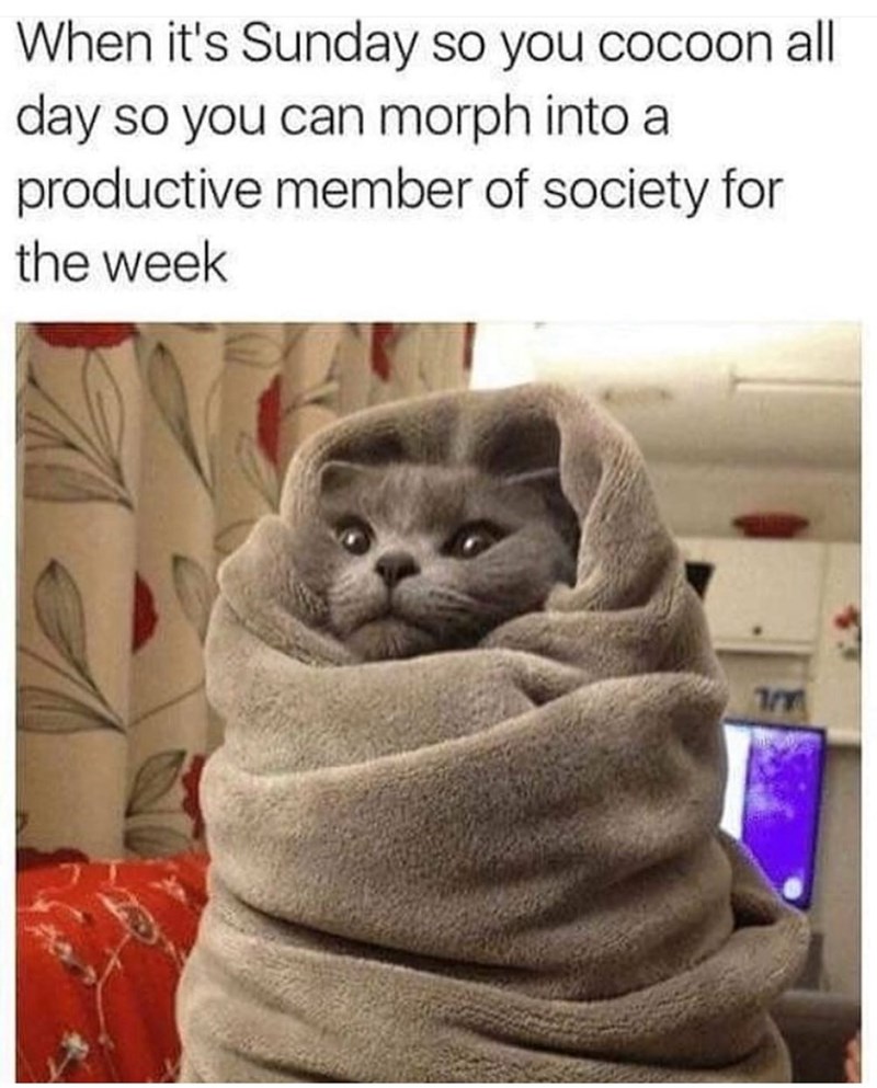 When it's Sunday so you cocoon all day so you can morph into a productive member of society for the week 1/7