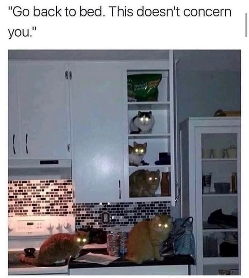 "Go back to bed. This doesn't concern you."