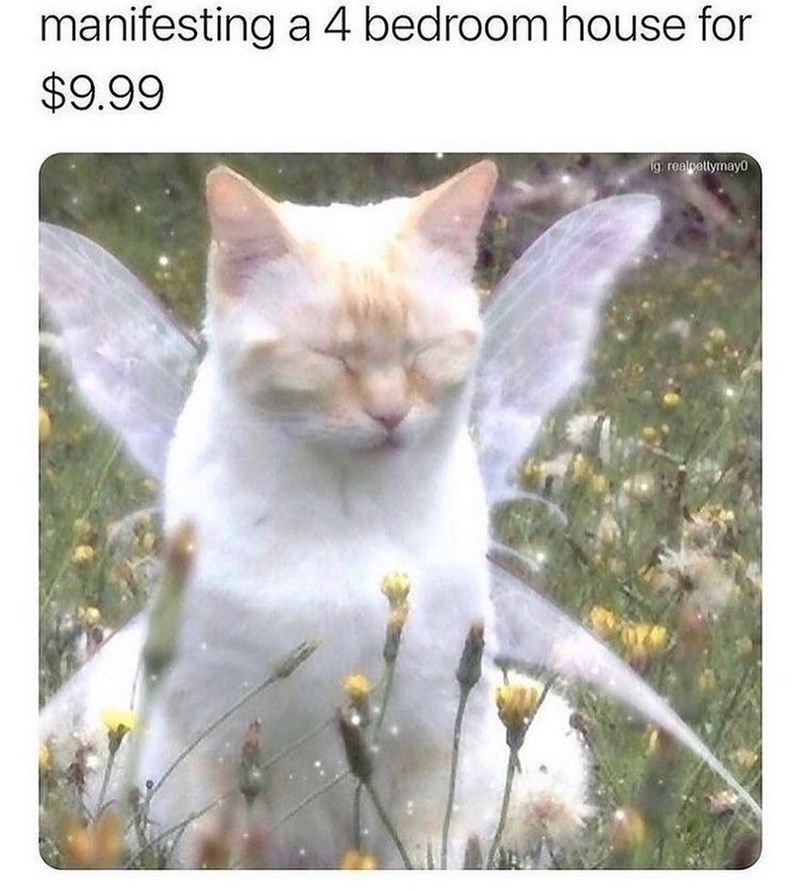 manifesting a 4 bedroom house for $9.99 ig: realpettymay0