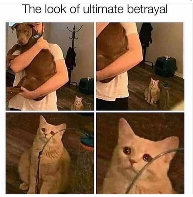 The look of ultimate betrayal