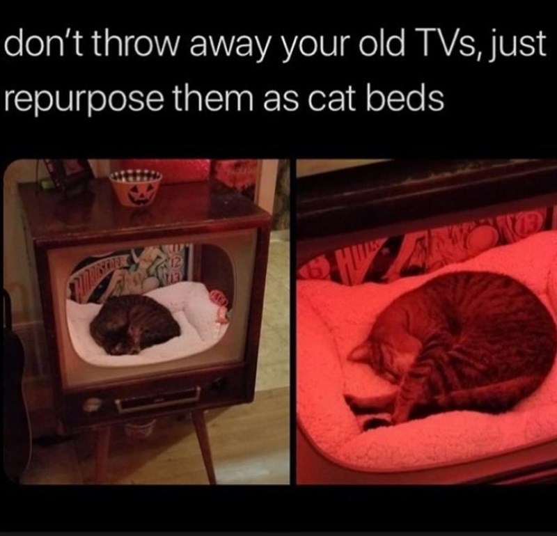 don't throw away your old TVs, just repurpose them as cat beds